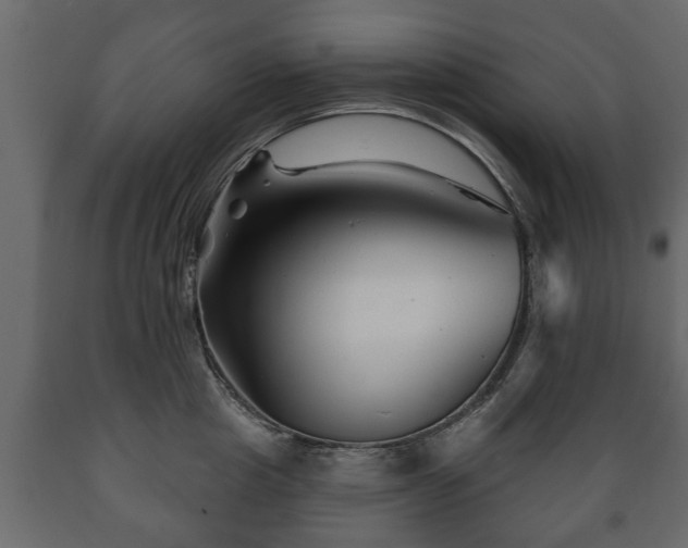 X0000089910857200707060957