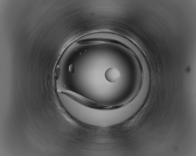 X0000089910858200707060957