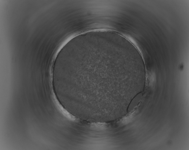 X0000089910859200707060957