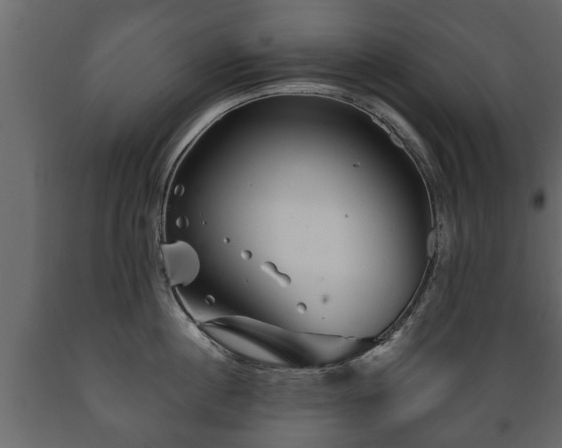 X0000089910860200707060957