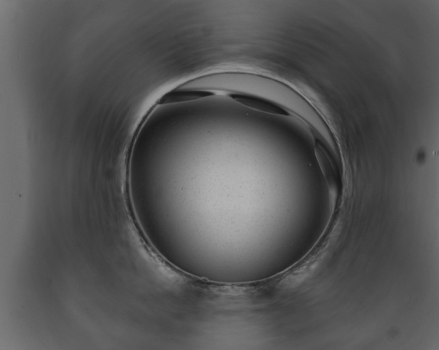 X0000089910862200707060957