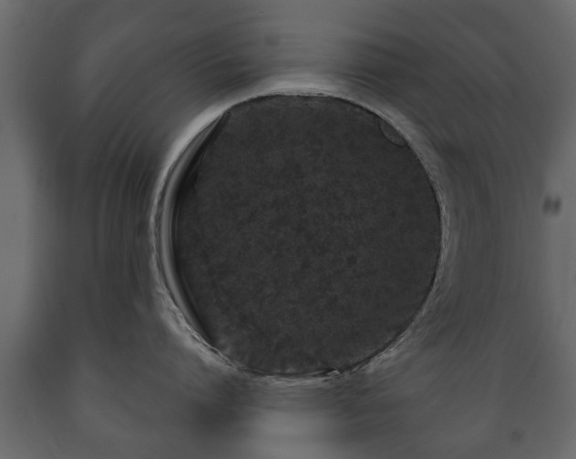 X0000089910864200707060957