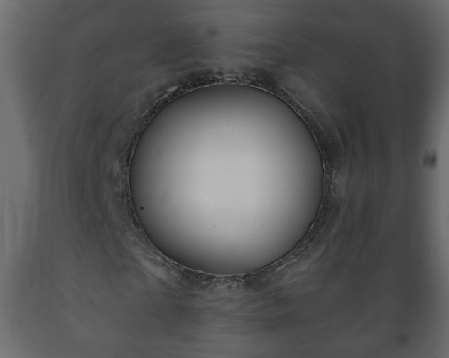 X0000089910865200707060957