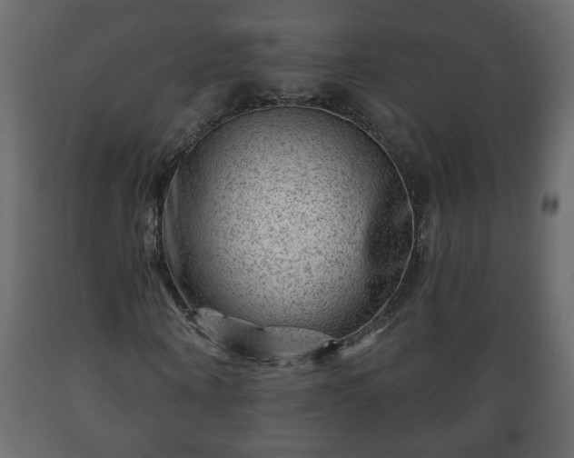 X0000089910866200707060957