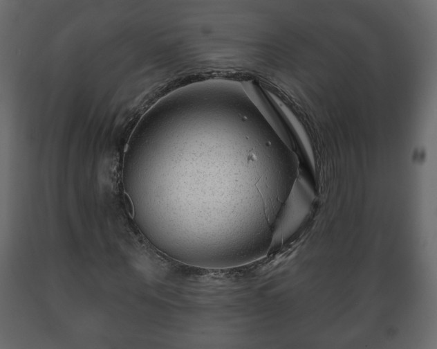X0000089910867200707060957