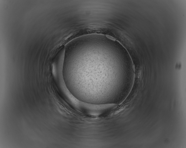 X0000089910868200707060957