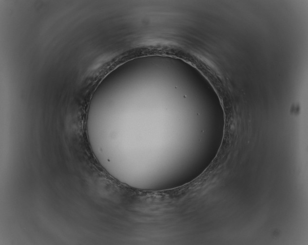 X0000089910869200707060957