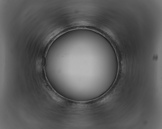 X0000089910873200707060957