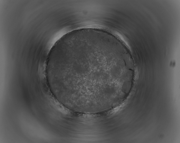 X0000089910875200707060957
