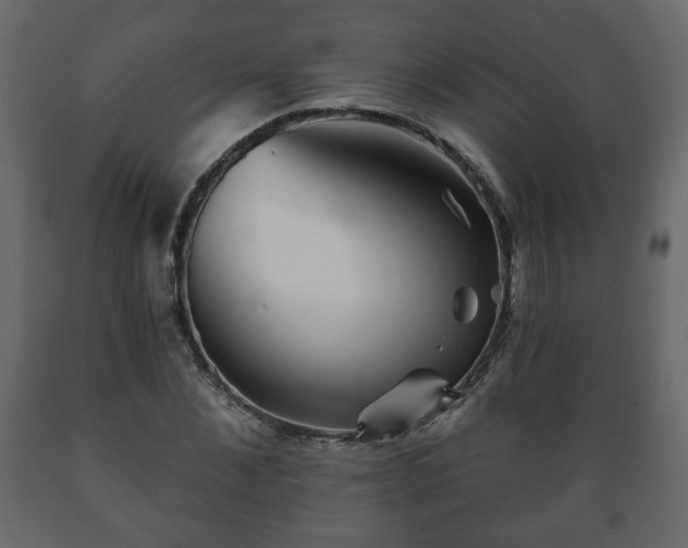 X0000089910876200707060957