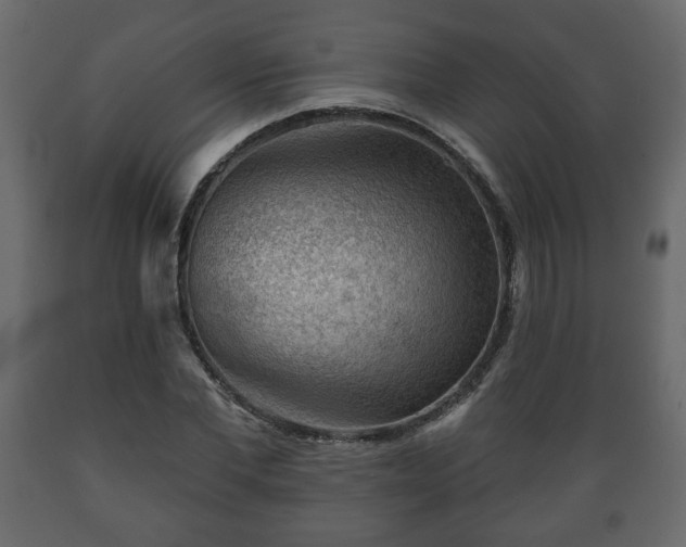 X0000089910877200707060957