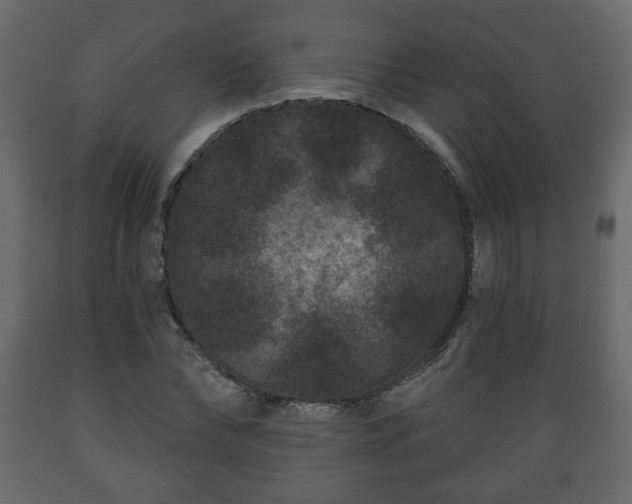 X0000089910878200707060956