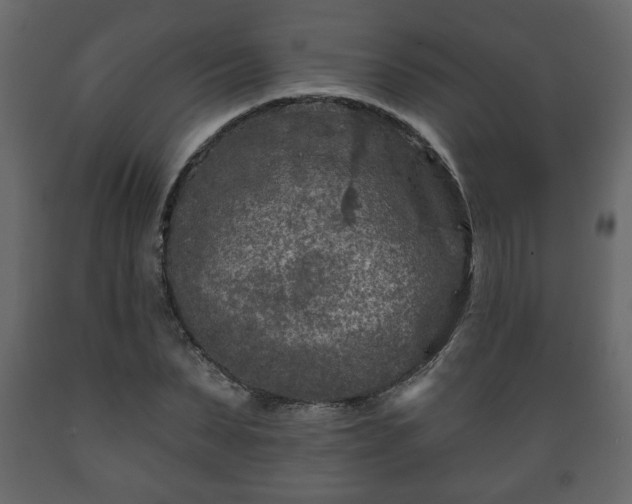 X0000089910879200707060956