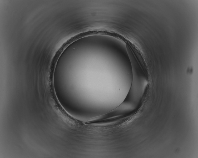 X0000089910880200707060956