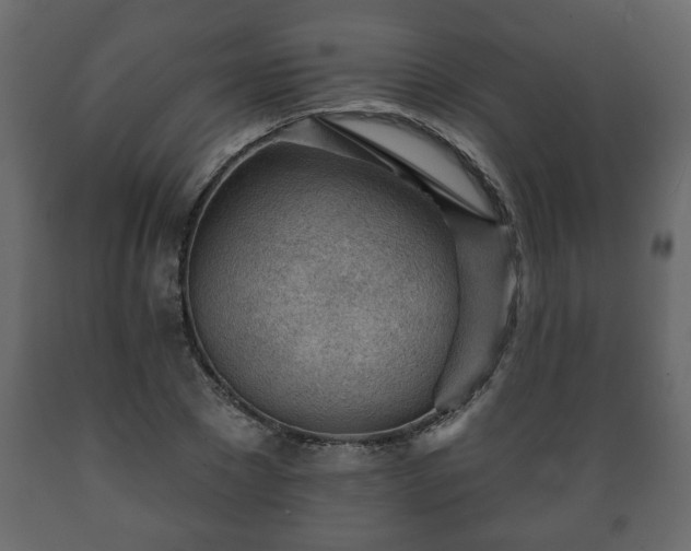 X0000089910881200707060956