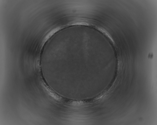 X0000089910882200707060956