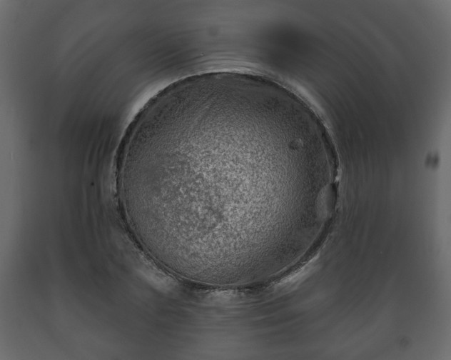 X0000089910883200707060956