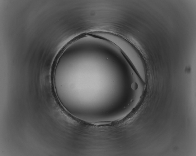 X0000089910884200707060956