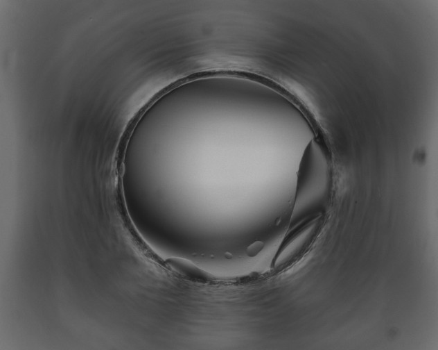 X0000089910885200707060956