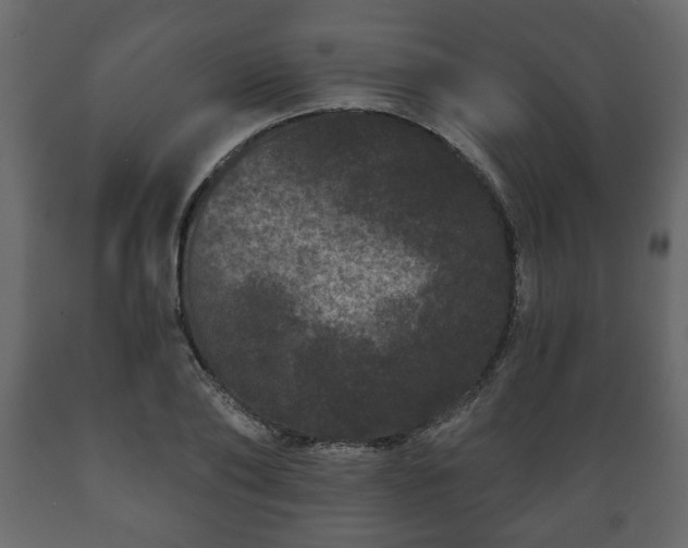 X0000089910886200707060956
