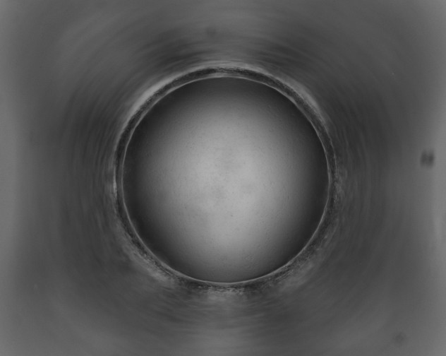 X0000089910887200707060956