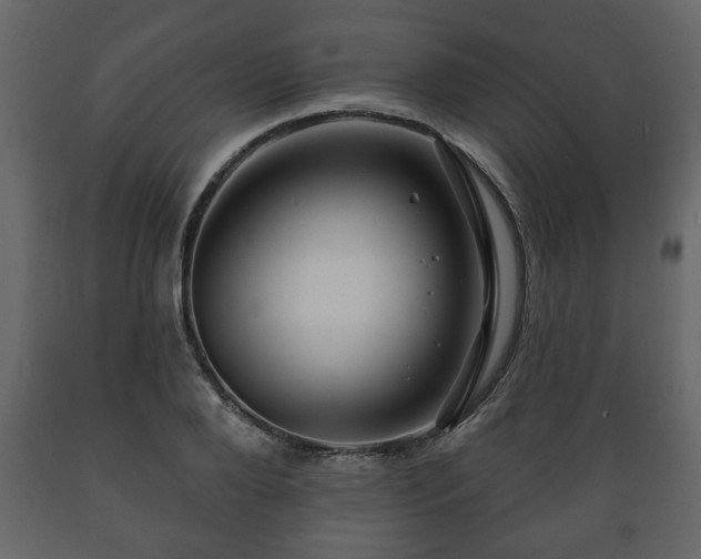 X0000089910888200707060956