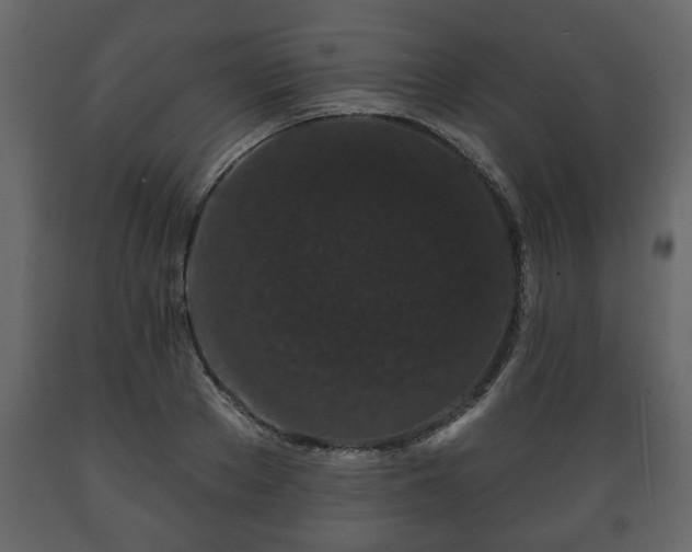 X0000089910889200707060956