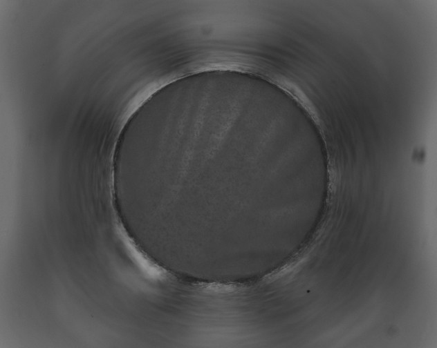 X0000089910890200707060956