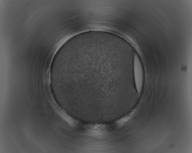 X0000089910891200707060956