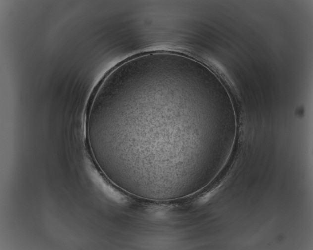 X0000089910892200707060956