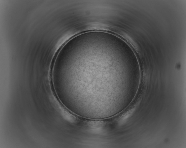 X0000089910893200707060956