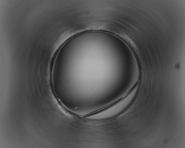 X0000089910894200707060956