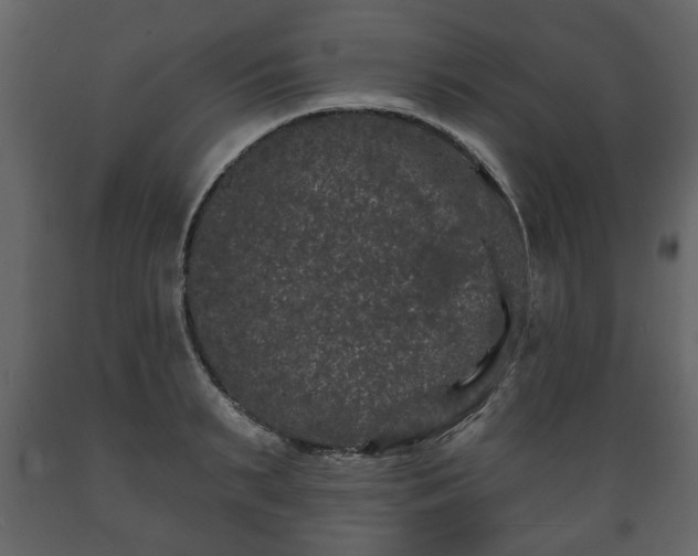 X0000089910895200707060956