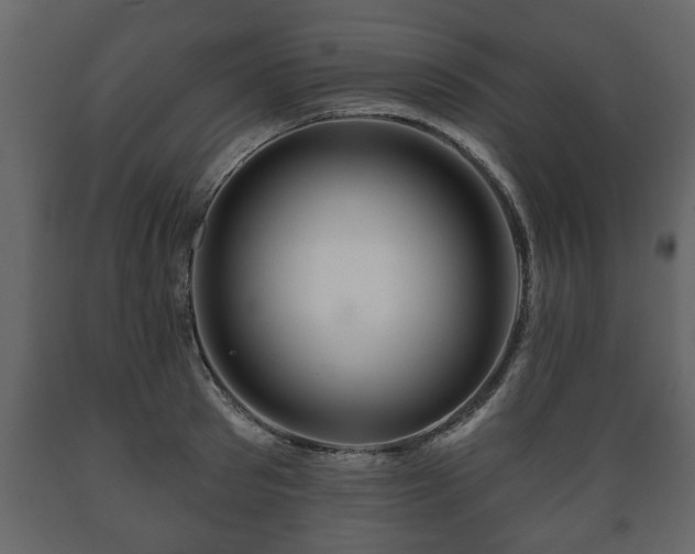 X0000089910897200707060956
