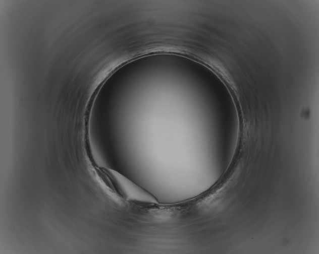 X0000089910898200707060956