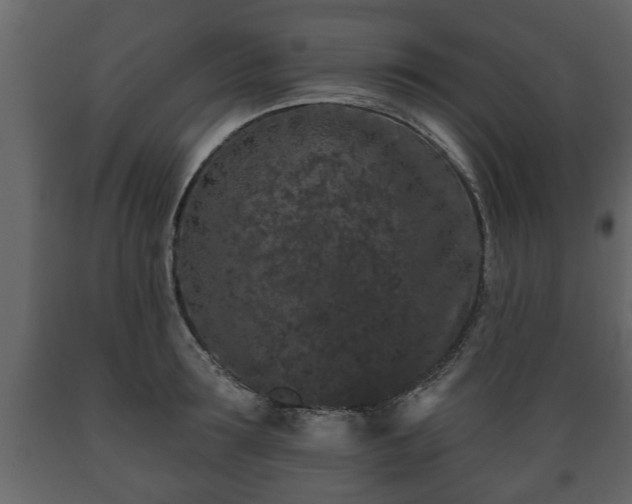 X0000089910899200707060956