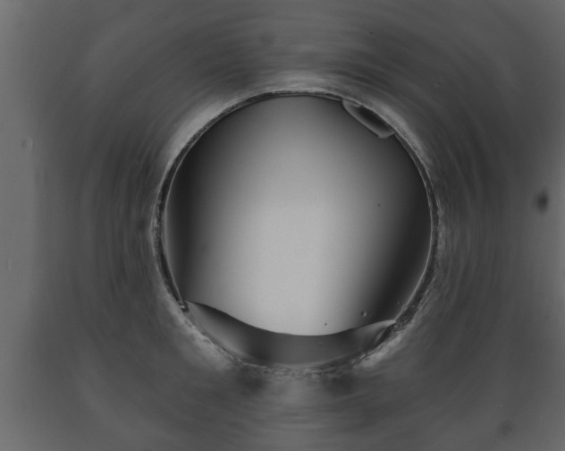X0000089910901200707060956