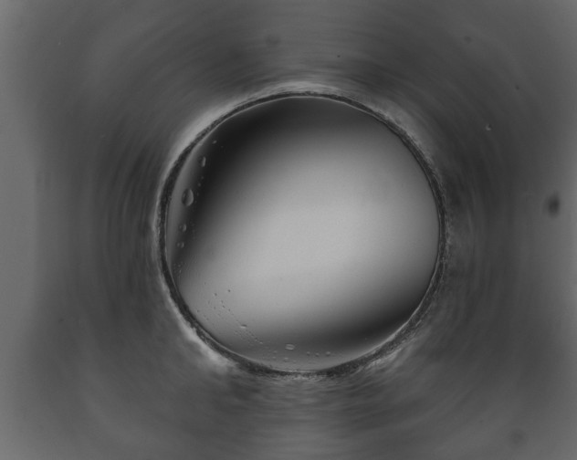 X0000089910902200707060956