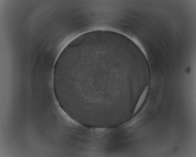 X0000089910903200707060956