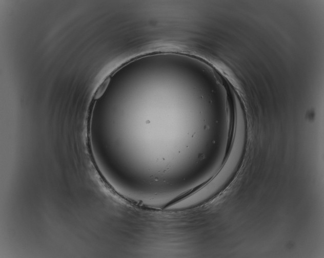 X0000089910904200707060956