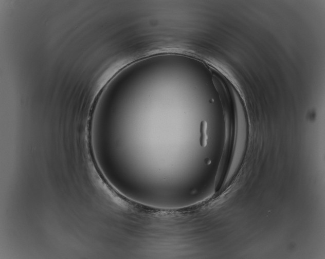 X0000089910906200707060956