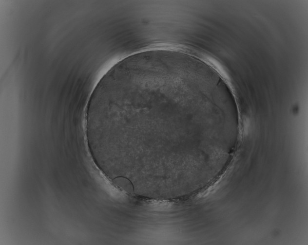 X0000089910907200707060956