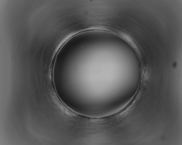 X0000089910908200707060956