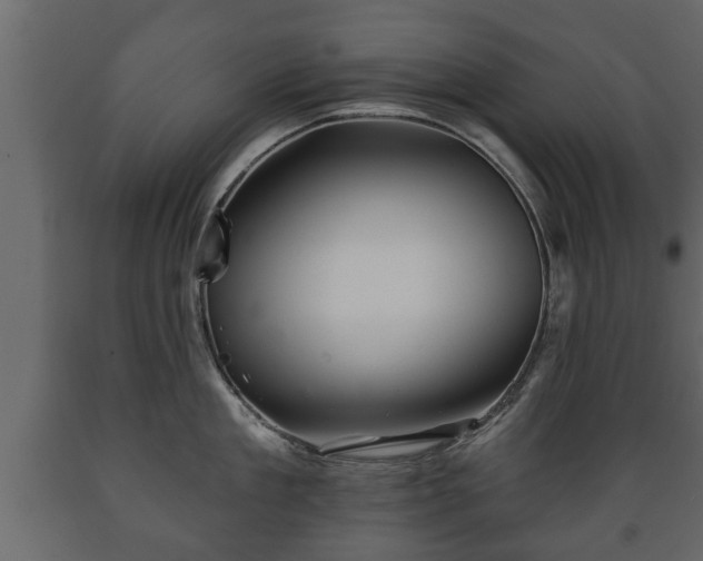 X0000089910909200707060956