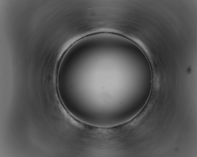 X0000089910910200707060956