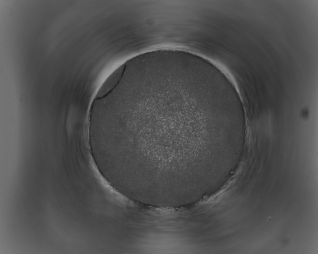 X0000089910911200707060956