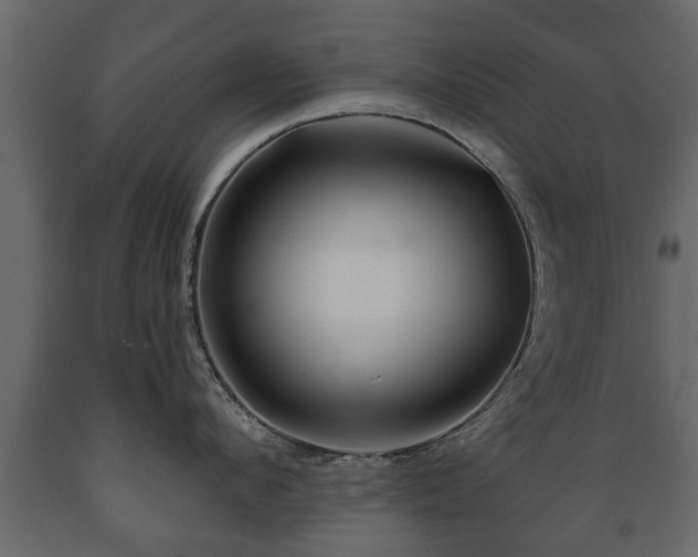 X0000089910912200707060956