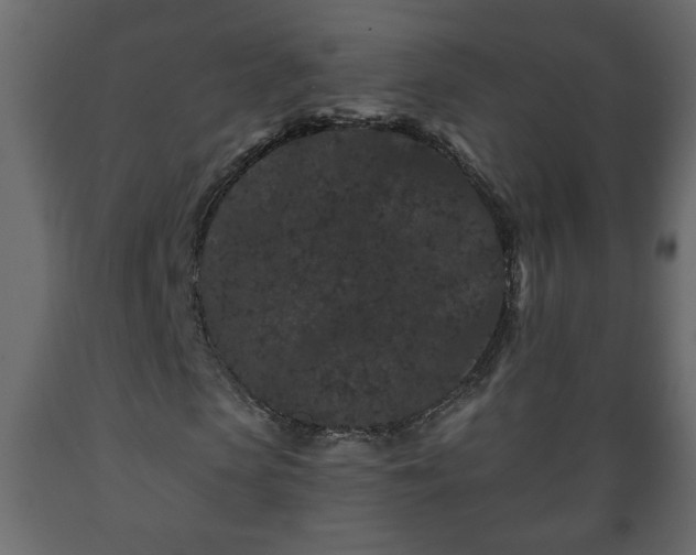 X0000089910913200707060955