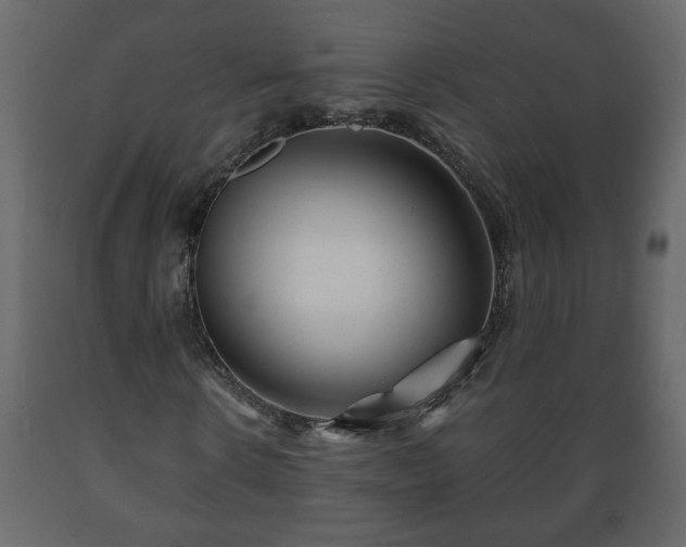 X0000089910914200707060955