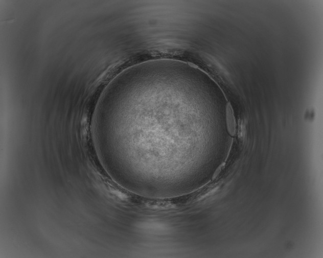 X0000089910915200707060955